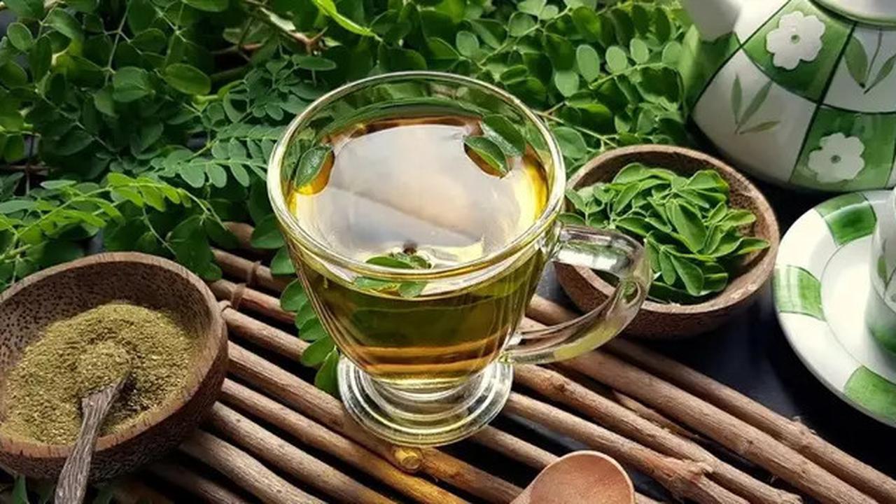 Cara Rebus Daun Kelor dan Manfaatnya untuk Kesehatan
