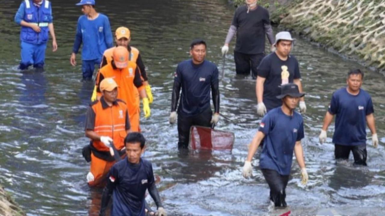 Pramono Perintahkan Operasi Pembersihan Ikan Sapu-Sapu Diperluas ke Seluruh Wilayah Jakarta