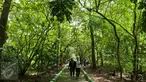 Pengunjung mengunjungi Hutan Kota Srengseng, Kembangan, Jakarta, Rabu (29/3). Pemprov DKI Jakarta akan menjadikan Hutan Kota Srengseng, Kembangan, Jakarta Barat menjadi salah satu destinasi wisata di Jakarta. (Liputan6.com/Gempur M Surya)