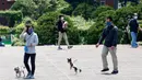 Orang-orang mengenakan masker berjalan bersama anjingnya selama pandemi Covid-19 di sebuah taman di Yokohama, dekat Tokyo, (29/4/2020). PM Jepang Shinzo Abe memperluas keadaan darurat ke seluruh Jepang dari hanya Tokyo dan perkotaan lainnya. daerah sebagai virus terus menyebar. (AP /Koji Sasahara)