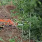 Tim penyelamat mencari korban di sebuah desa yang dilanda tanah longsor di Nganjuk, Jawa Timur, Senin (15/2/2021). BPBD Nganjuk dengan dukungan pihak terkait lainnya melakukan upaya penanganan darurat, seperti pencarian dan evakuasi korban hilang. (AP Photo/Trisnadi)