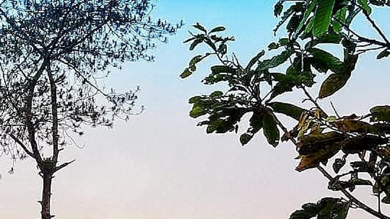 <b>Bukit Mercury Sayang Kaak</b>