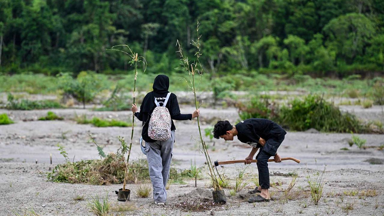 Ratusan Ribu Pohon Ditanam di DAS Peusangan Aceh