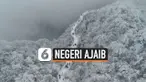 Negeri Ajaib