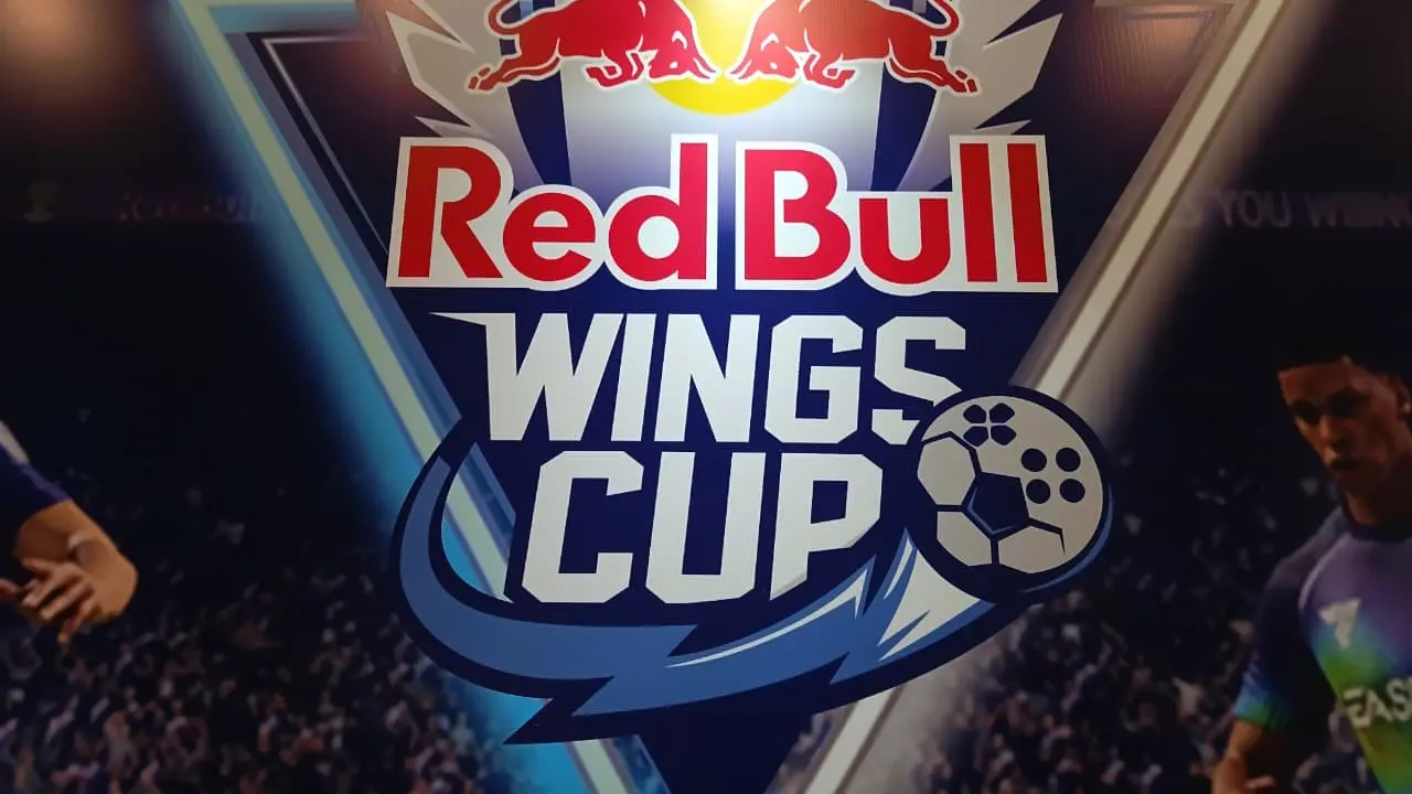 Red Bull Wings Cup
