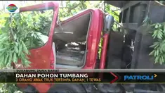 Dahan pohon mahoni yang berusia puluhan tahun tersebut tumbang diterjang angin kencang.