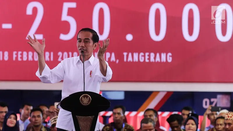 Presiden Jokowi Lepas Kontainer Ekspor Mayora ke-250 Ribu