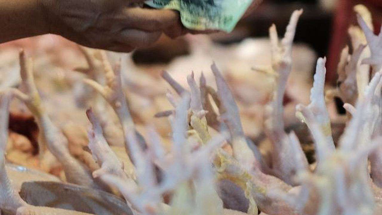Update Kondisi APBN 2023 Jelang Tutup Tahun, Bea Cukai Sumbang Berapa?