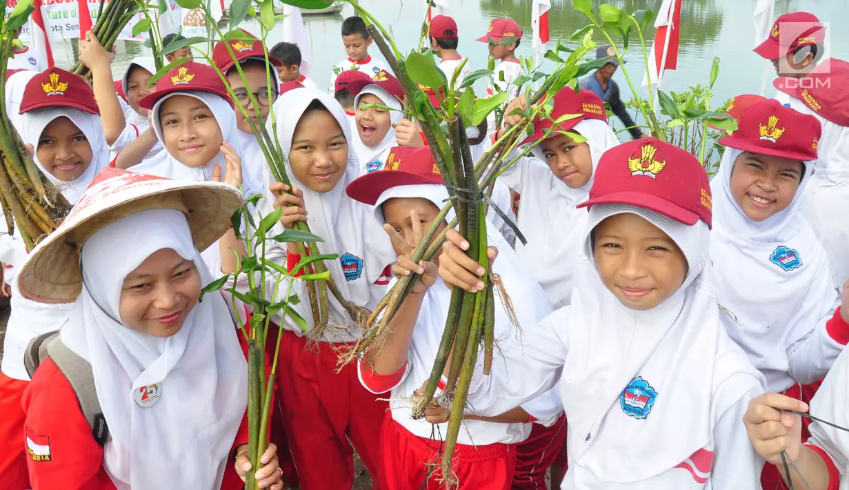Siswa-siswi  SD Nasima Semarang memegang tanaman mangrove saat menanamnya di Teluk Pantai Mangunharjo, Jumat (18/1). Sebanyak 2500 bibit mangrove ditanam untuk melindungi pantai dan tebing sungai dari proses erosi atau abrasi. (Liputan6.com/Gholib)