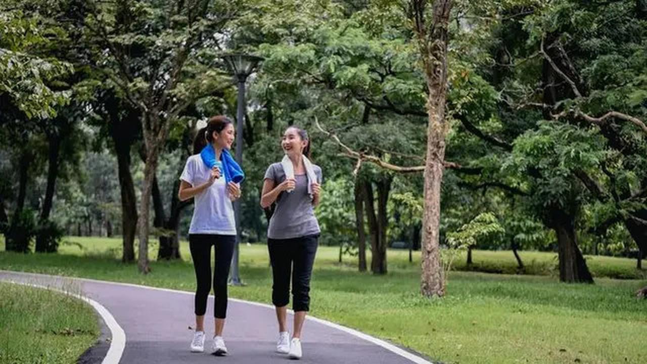 Cara Mudah Menurunkan Kolesterol Tinggi dengan Teh Herbal
