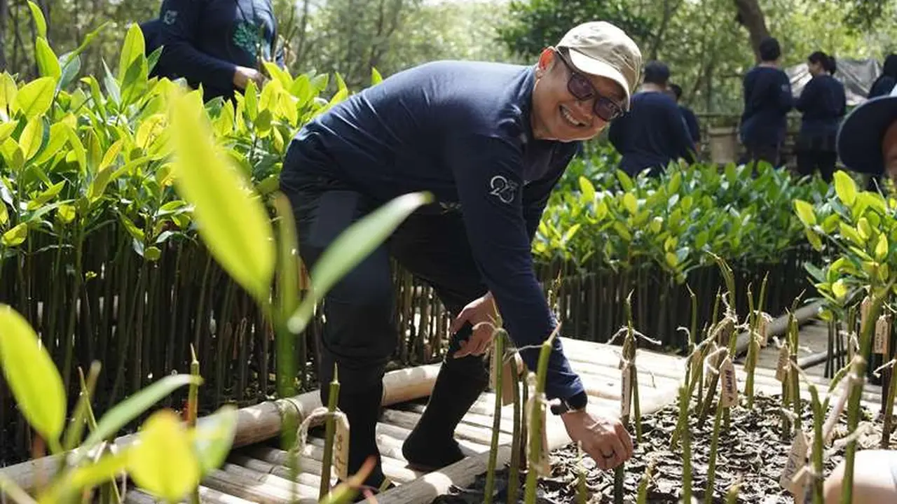 Perusahaan Importir Gelar Penanaman Mangrove Sebagai Wujud Kepedulian Lingkungan Menuju Usia 25 Tahun