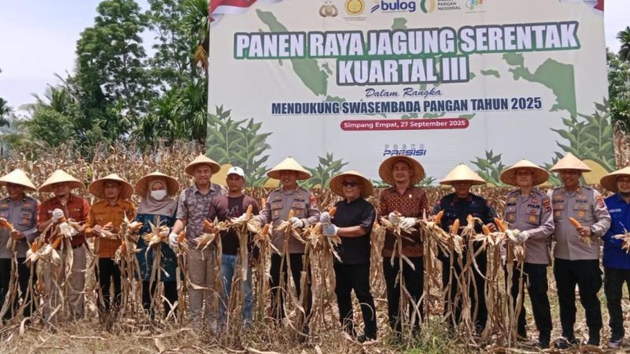 Fakta Unik: Polres Pasaman Barat Tanam Jagung 250 Hektare, Dukung Swasembada Pangan Nasional dengan Target 223 Ribu Ton