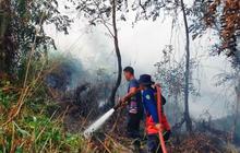 BMKG Ingatkan Potensi Karhutla Kaltim, Ratusan Titik Panas Tersebar