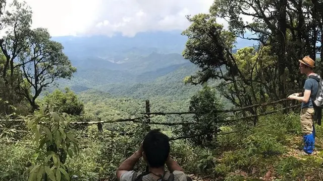 Pendaki Gunung Phou Louey di Laos. (Dok: Instagram @insideasiatours https://www.instagram.com/p/B8Wx0ZSobXN/?img_index=1&igsh=enFycm0wbGYydTl2)