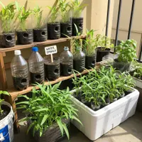 Kebun Mini Sayuran (AI)