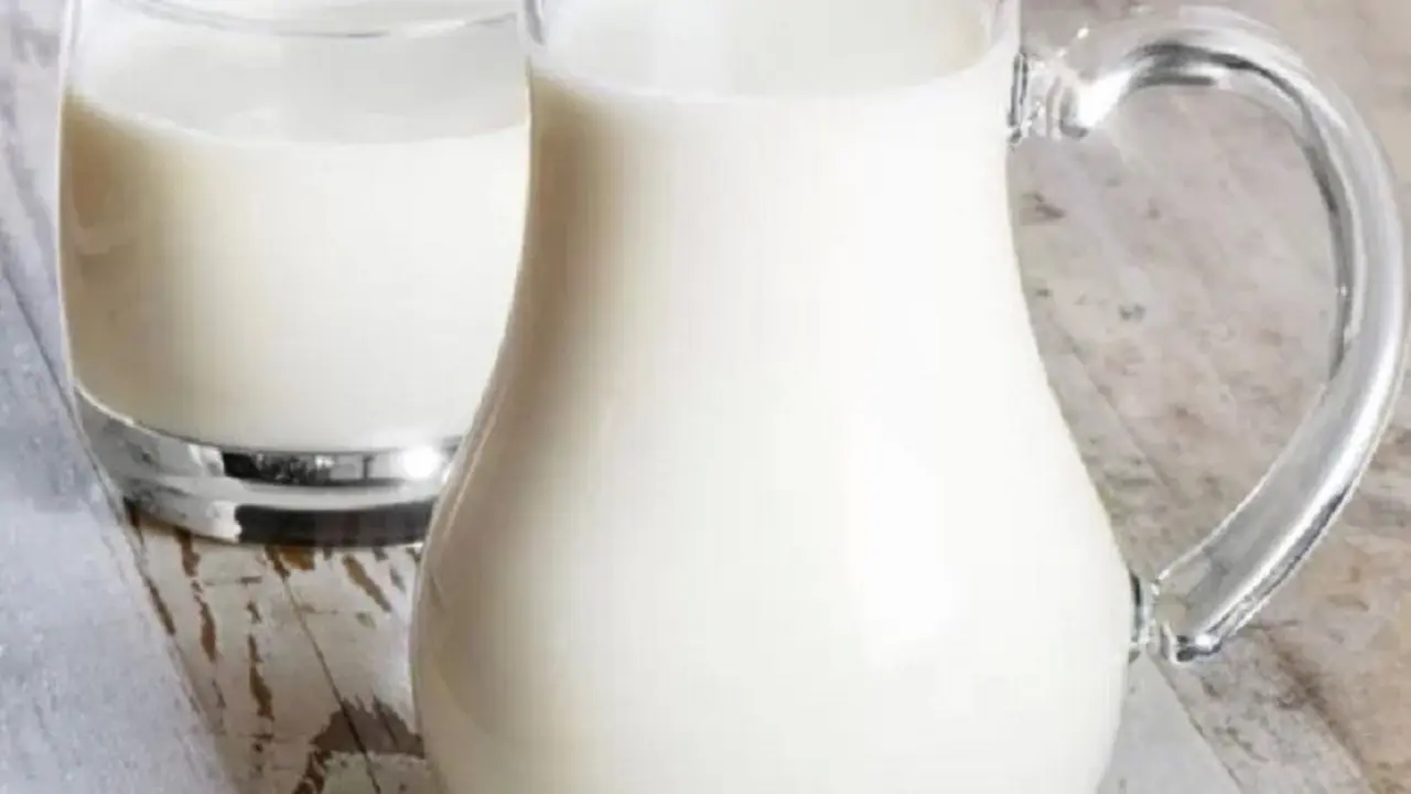 susu keledai