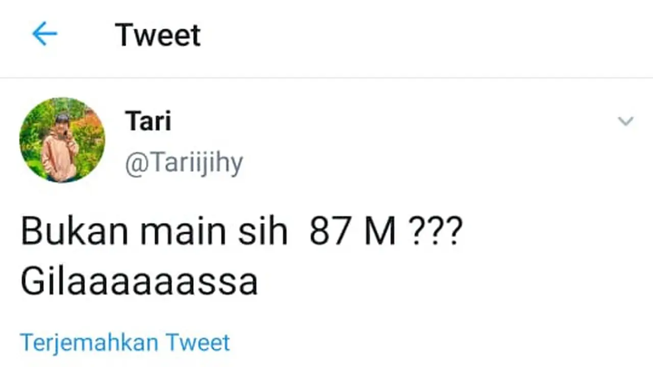 Viral twit sumbangan pendidikan institusi (SPI) Undip Rp87 miliar. (Foto: Liputan6.com/Istimewa)