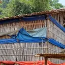 Bikin Bau Permukiman, Peternakan Ayam di Sukabumi Ditutup