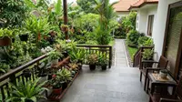 6 Cara Menjaga Area Kebun dan Teras Tetap Bersih Meski Banyak Tanaman