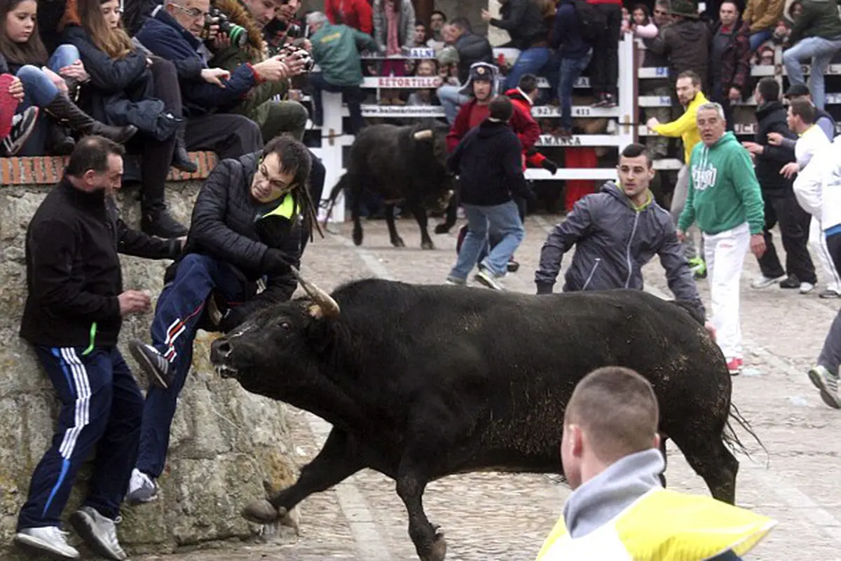 Ditanduk Banteng, Remaja AS di Spanyol Luka Sobek 40 Cm