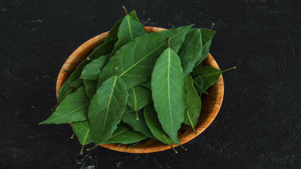Manfaat Daun Salam untuk Asam Urat, Alternatif Alami untuk Meredakan Nyeri