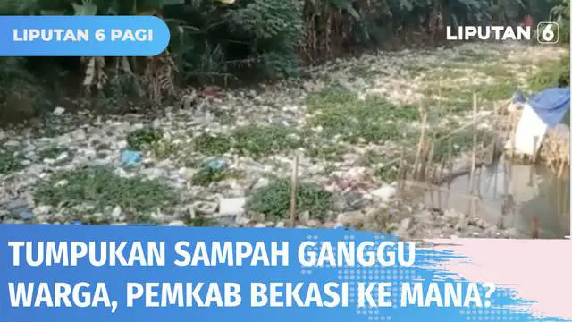 Pengelolaan sampah di Kabupaten Bekasi, Jawa Barat, kacau-balau. Sampah sepanjang puluhan meter yang menumpuk di Kali Cikarang sejak lama dan mengganggu warga, hingga kini tak kunjung dibersihkan.