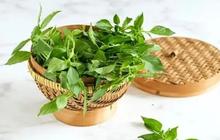 Trik Menjaga Daun Kemangi Tidak Layu Hingga Lima Hari