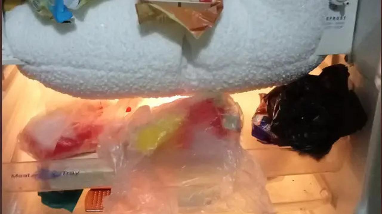 Rahasia Cara Cepat Menghilangkan Bunga Es di Freezer yang Wajib Dicoba