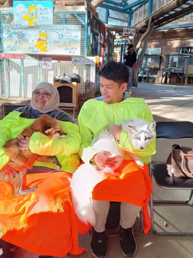 Menggendong dan memeluk rubah