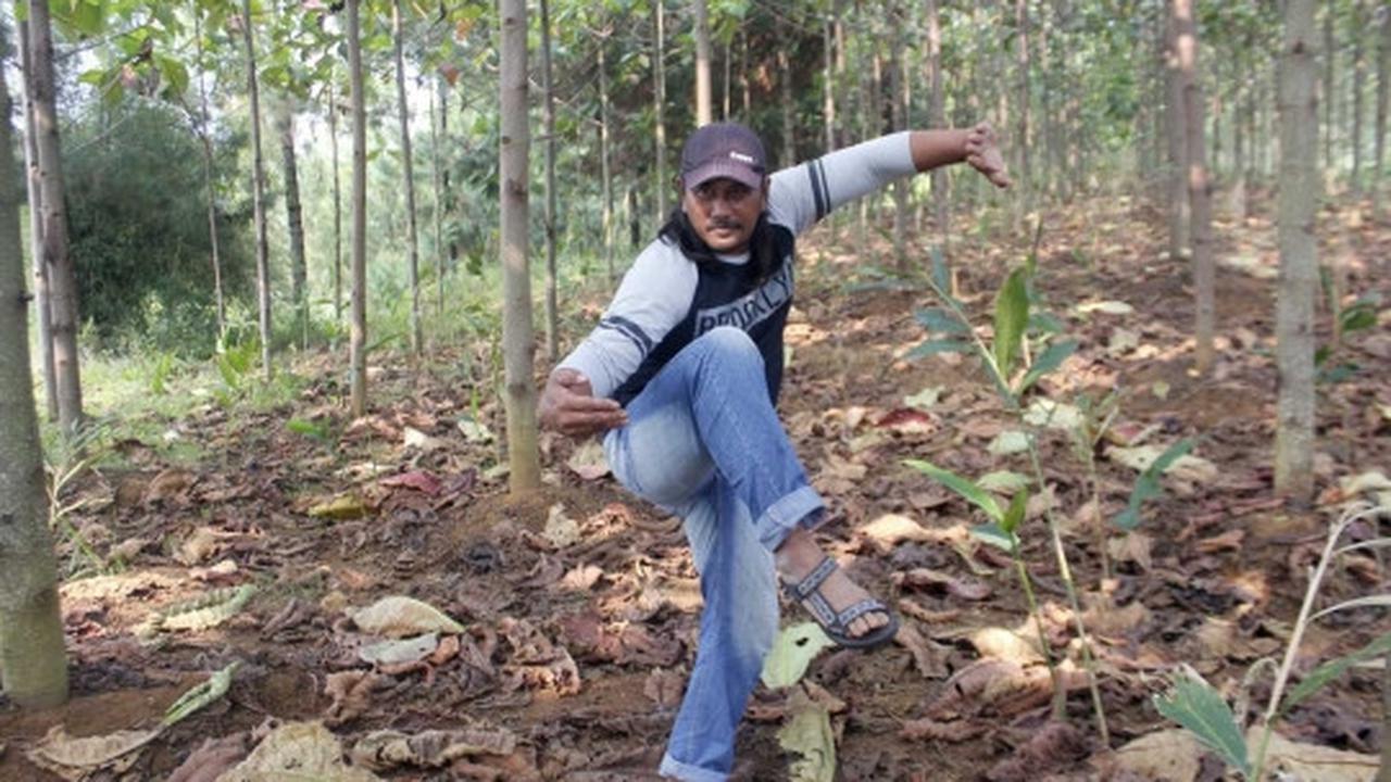 Sudah tua, Ken Ken masih jago mainkan jurus-jurus Wiro Sableng