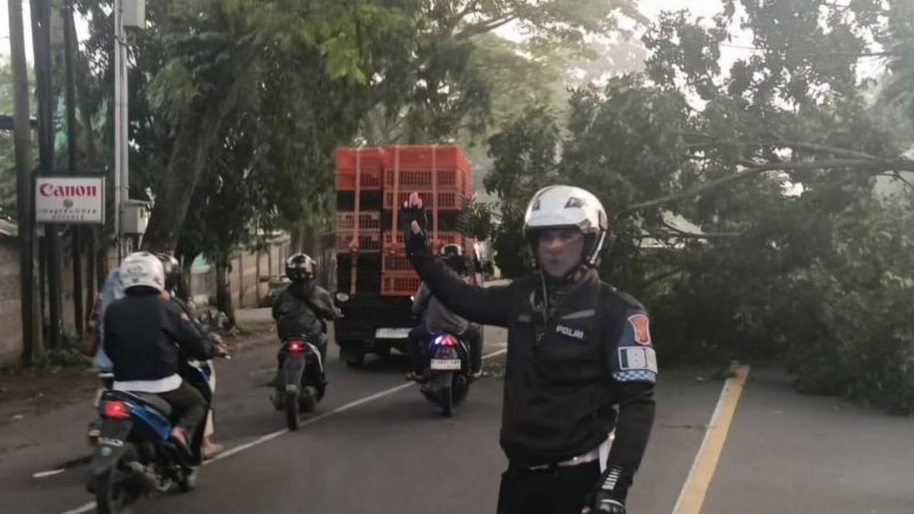 Polres Cianjur Tangani Cepat Jalur Bandung-Cianjur Terputus Akibat Pohon Tumbang