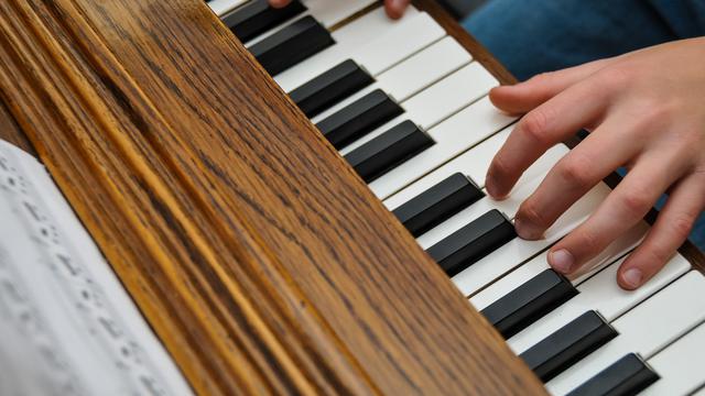 Orang Yang Memainkan Alat Musik Disebut Berbagai Alat