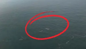 Konten Kreator Drone Temukan Sesuatu di Sekitar Anak Krakatau