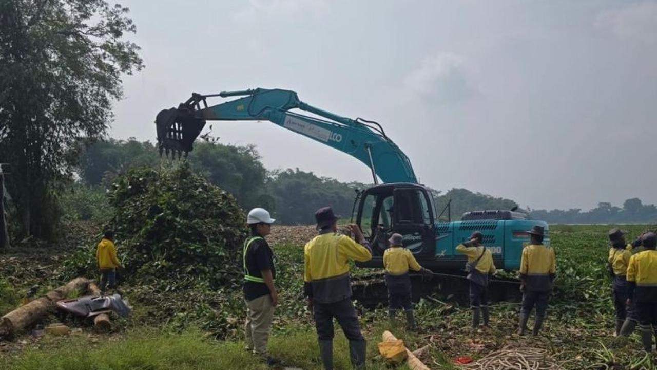 PLN Gencarkan Kolaborasi Penanganan Eceng Gondok Waduk Saguling Demi Energi Terbarukan