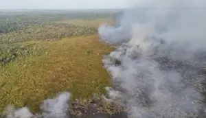 Terungkap, Kebiasaan Warga di Way Kambas yang Picu Kebakaran Hutan