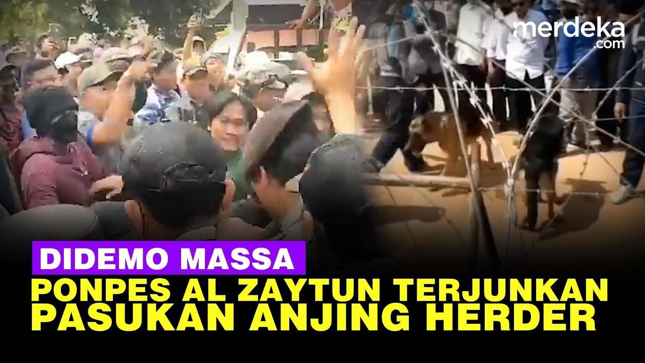 VIDEO: Momen Ponpes Al Zaytun Terjunkan Pasukan Anjing Herder saat Digeruduk Pendemo