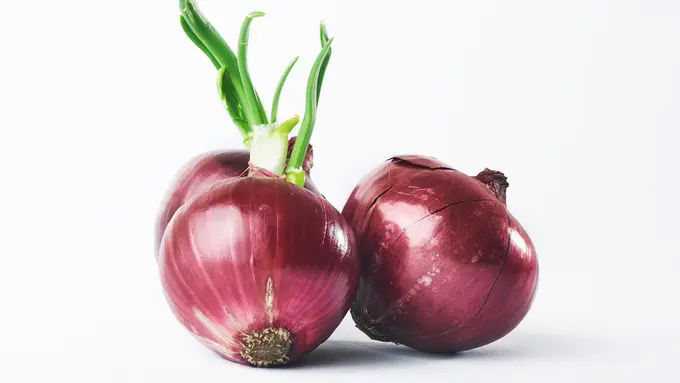 Ilustrasi bawang