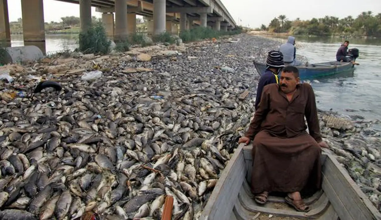Nelayan melintas dekat ikan mas yang mati mengapung di Sungai Eufrat dekat kota Sadat al Hindiya, Jumat (2/11). Para nelayan Irak di selatan Baghdad menemukan ribuan ikan mas yang diternak di pinggiran sungai mati secara misterius. (Haidar HAMDANI/AFP)