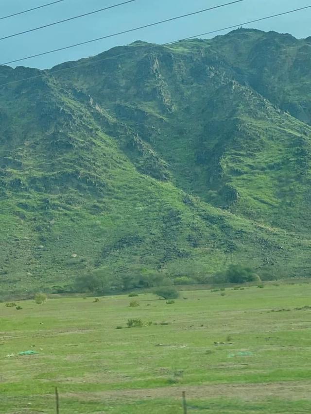 5 Potret Pegunungan Makkah Menghijau, Ini Penjelasan Sains Penyebab Terjadinya