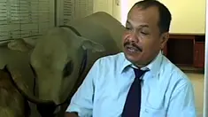 liputan6