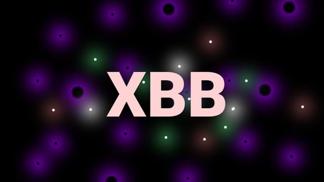 COVID-19 Omicron subvarian XBB