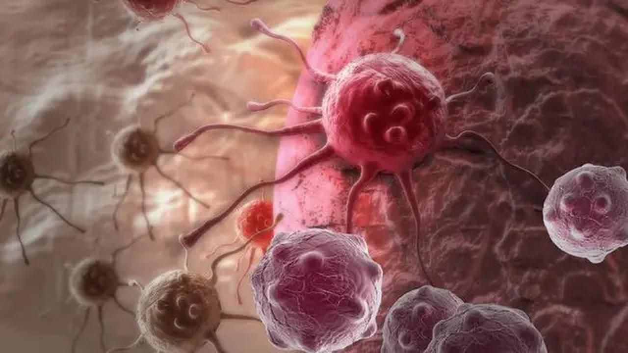 Ilmuwan Korea Selatan Klaim Temukan Cara Mengembalikan Sel Kanker ke Keadaan Normal