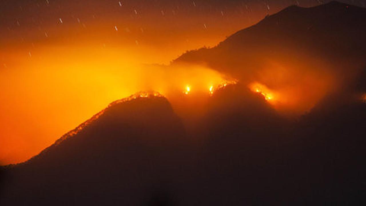 Kebakaran di Gunung Sindoro, 3 pendaki sempat terjebak di tengah api