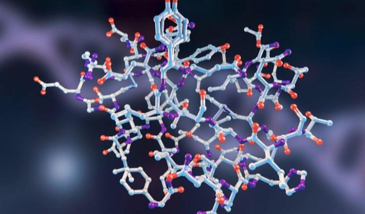 <b>Memperkuat Sensitivitas Insulin</b>