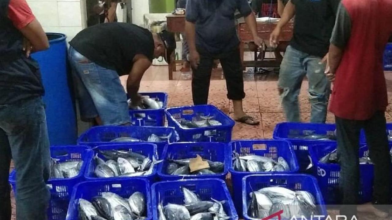 Tahukah Anda? Industri Pengalengan Ikan Jadi Harapan Baru Nelayan Bontang untuk Harga Stabil