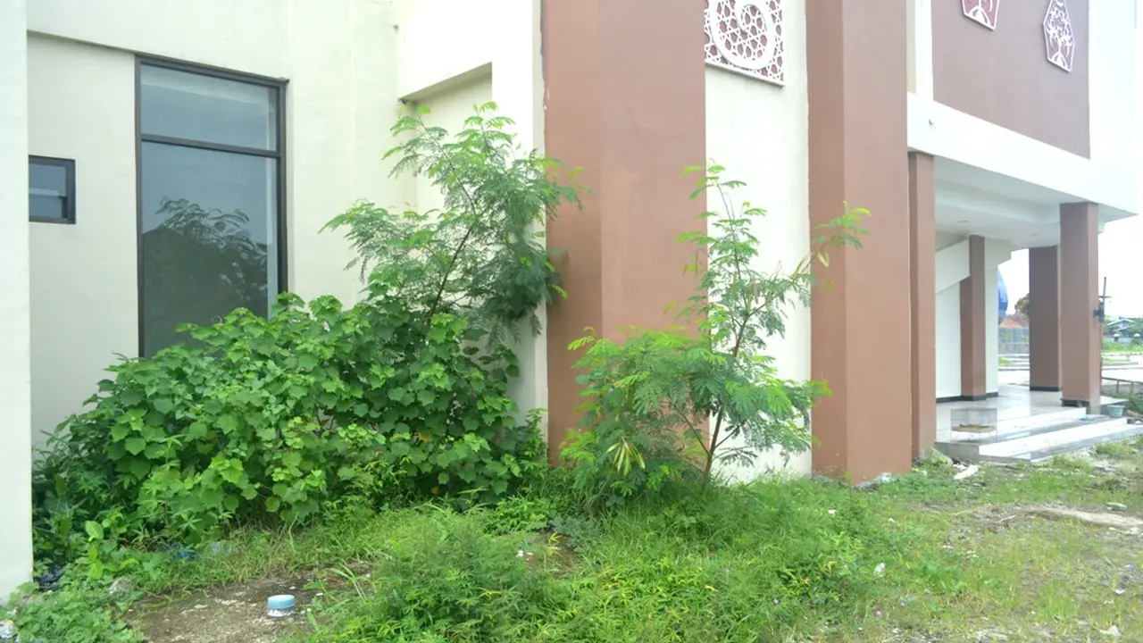 Semak belukar mengesankan Gedung Kesenian Soeteja tak terawat. (Foto: Liputan6.com/Muhamad Ridlo)