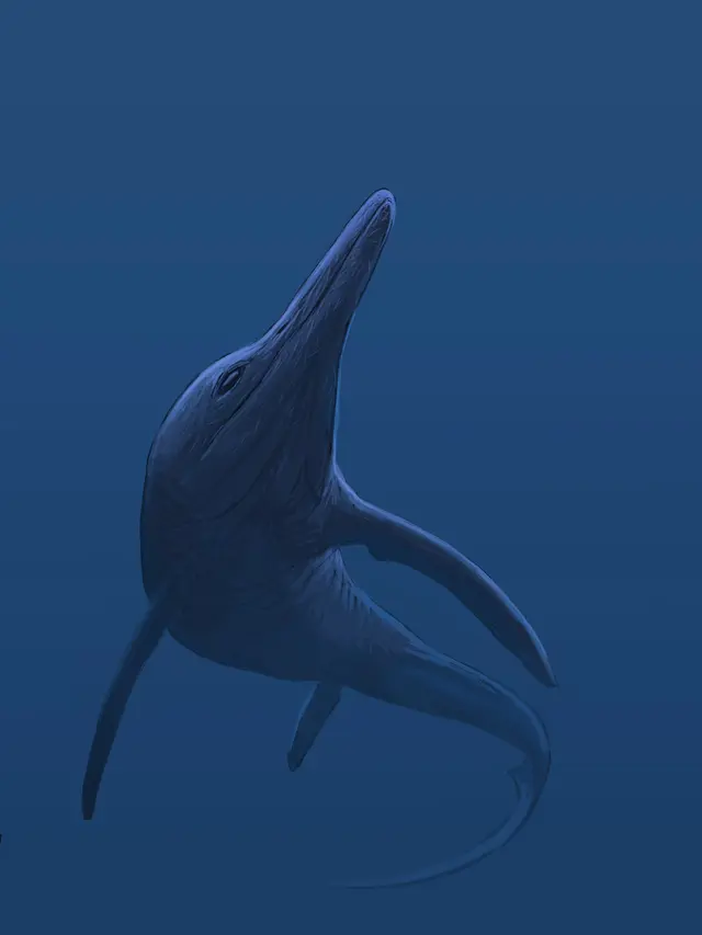 Plesiosaurus