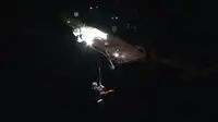 Penyelamatan pria yang jatuh dari tebing dengan ketinggian 20 meter. (9news.com.au)