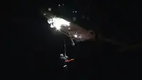 Jatuh dari Tebing Setinggi 20 Meter, Pria Ini Selamat
