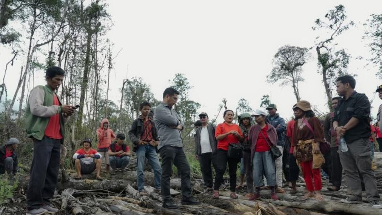 Anggota DPR Desak Penghentian Deforestasi Hutan Sumatera Utara di Dairi: Mengapa Ini Mendesak?